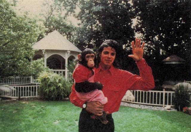 A Pop King and His Primate: The Tale of Michael Jackson and His Pet Chimp, Bubbles