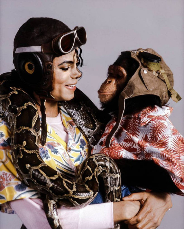 A Pop King and His Primate: The Tale of Michael Jackson and His Pet Chimp, Bubbles