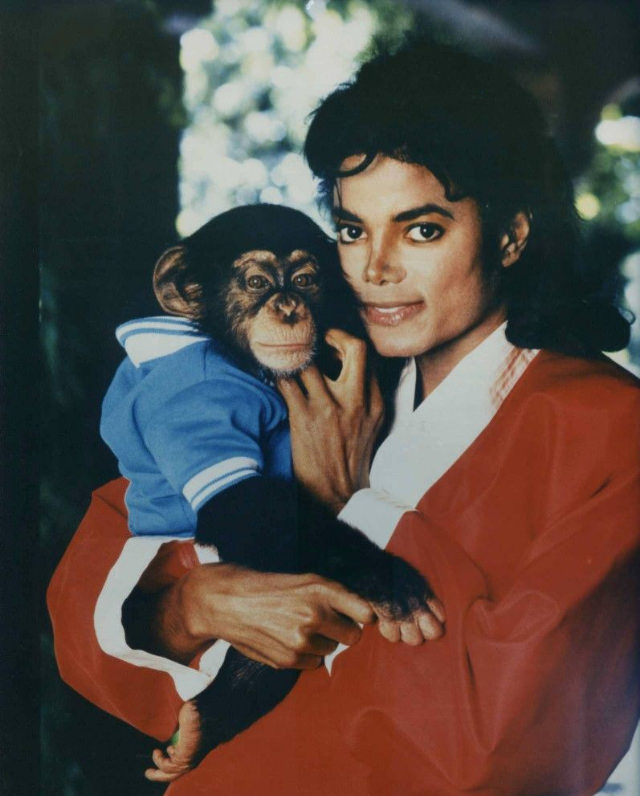 A Pop King and His Primate: The Tale of Michael Jackson and His Pet Chimp, Bubbles