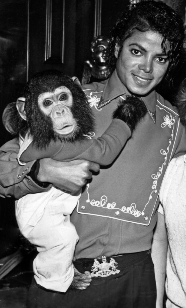 A Pop King and His Primate: The Tale of Michael Jackson and His Pet Chimp, Bubbles