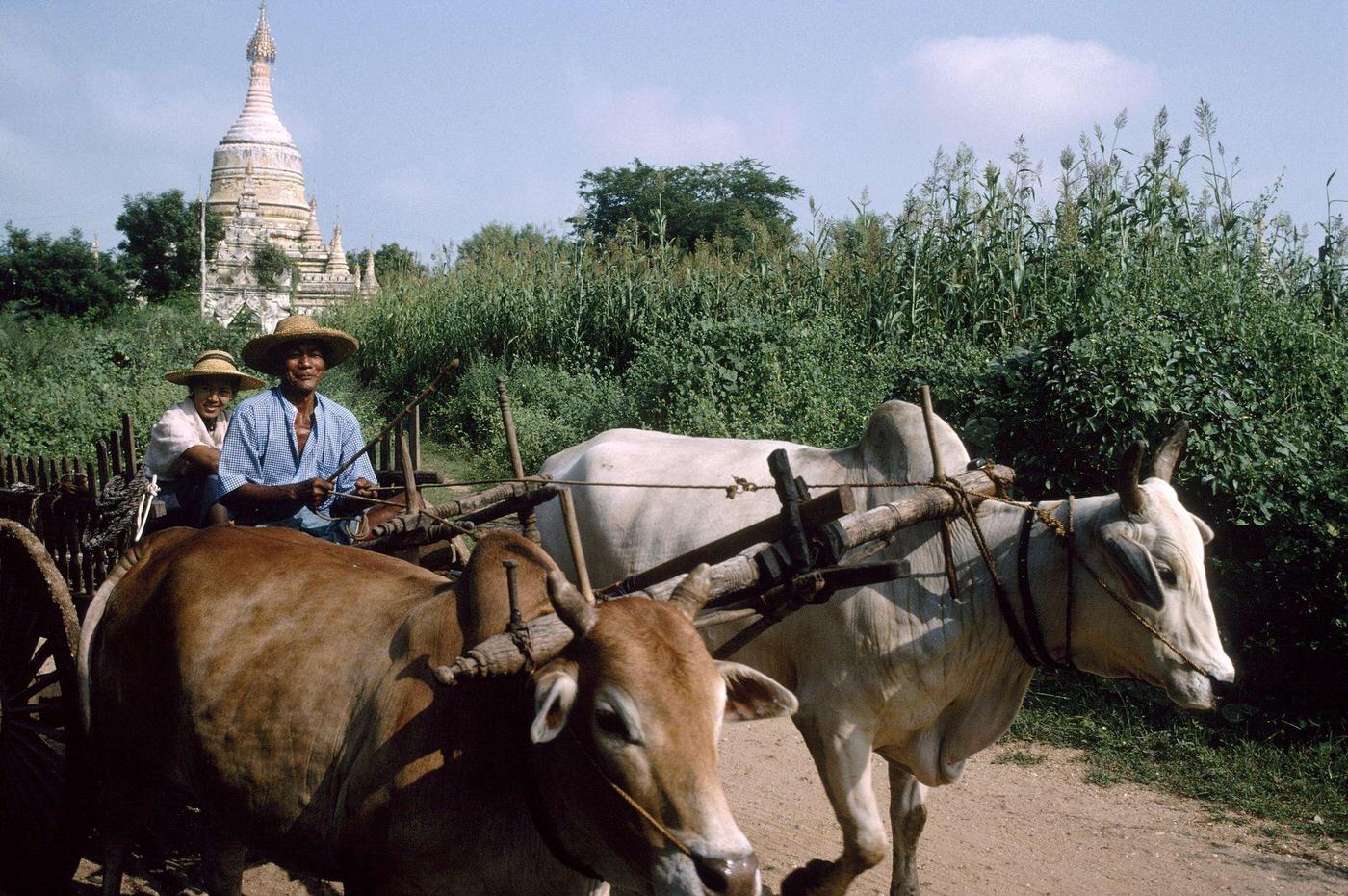Bagan, Myanmar, 1980s