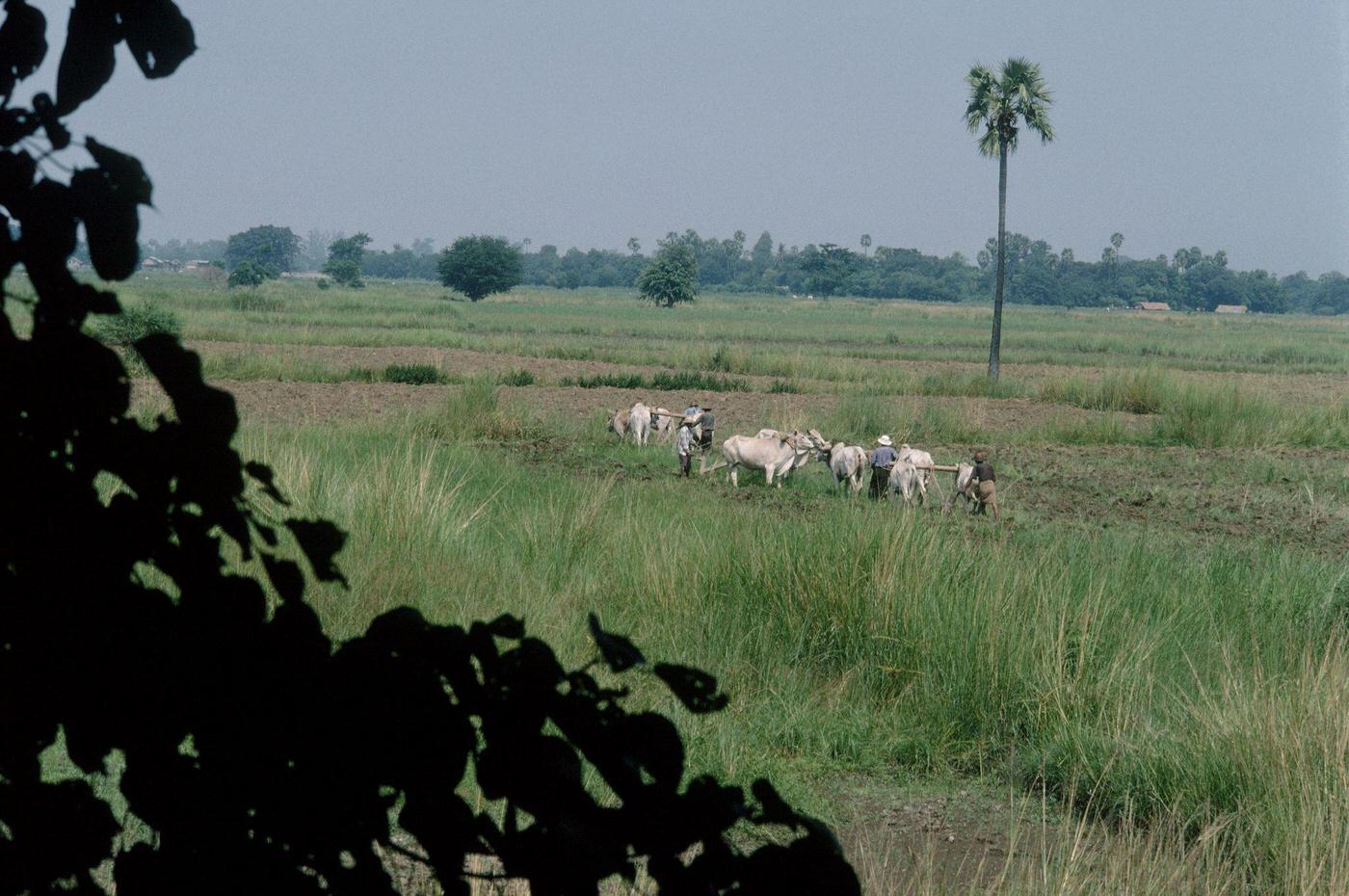 Mandalay, Myanmar - Landscape, 1980s