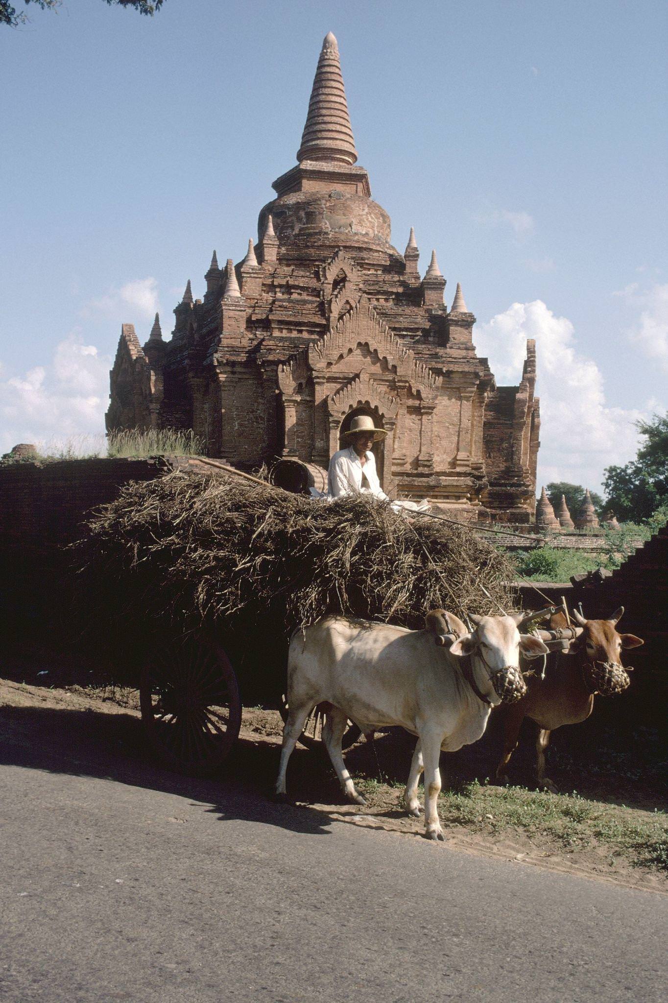 Bagan, Myanmar - General View of the Temples, 1980s
