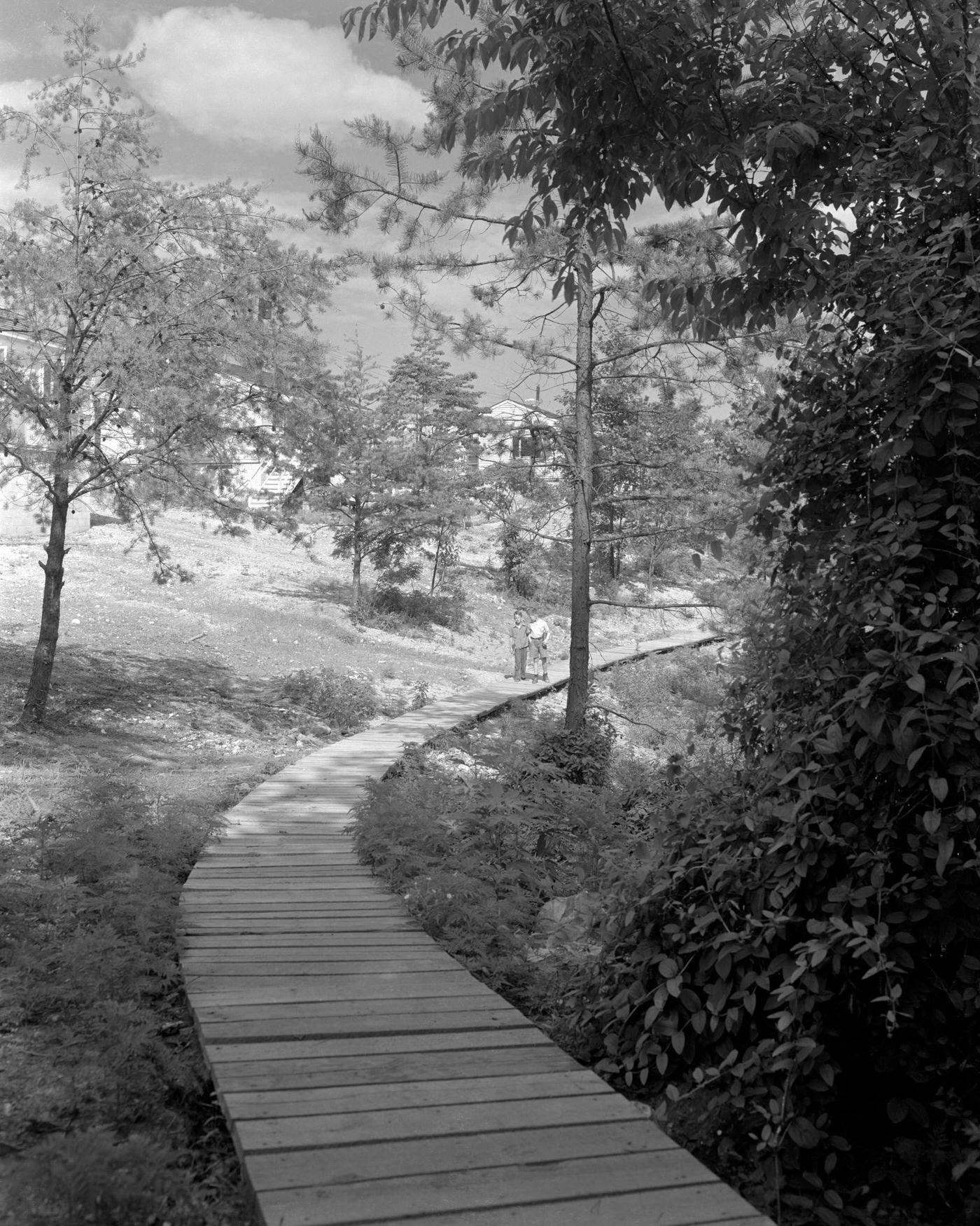 Wooden Pathway in Oak Ridge, Tennessee, 1944.