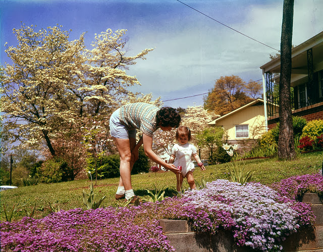 Redefining the 'Secret City': 1960s Photos Showcase Oak Ridge's Dramatic Shift from Nuclear Power to Powering Communities