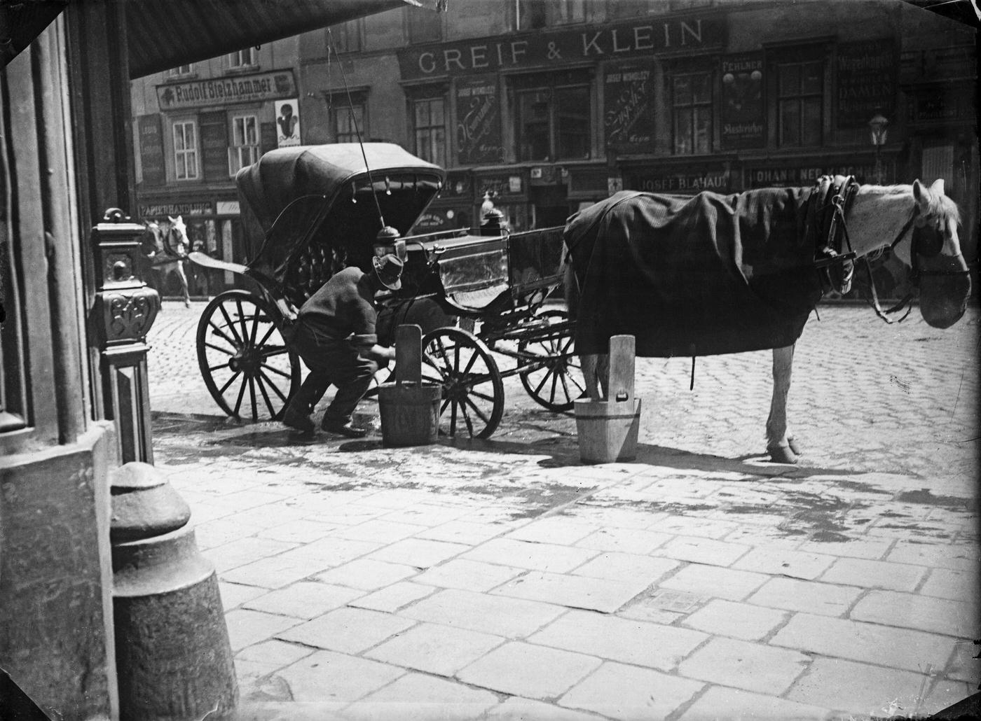 Streetlife in Vienna: man giving water to a cab-horse in Vienna, Austria, Vienna, 1900s