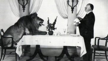 Alfred Hitchcock Leo Lion meeting