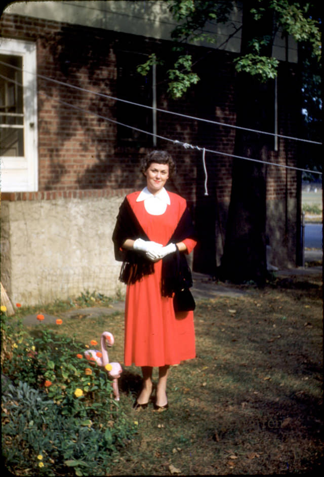 The Glamour and Sophistication of 1950s Women: A Pictorial Journey Through Fashion that Defined a Decade