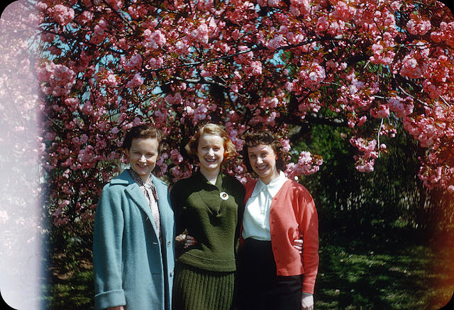 The Glamour and Sophistication of 1950s Women: A Pictorial Journey Through Fashion that Defined a Decade