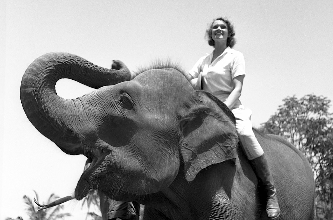 Aloha Wanderwell on Elephant