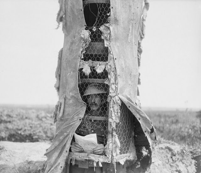 Camouflage Trees: The Silent Observers of World War I