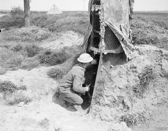 Camouflage Trees: The Silent Observers of World War I