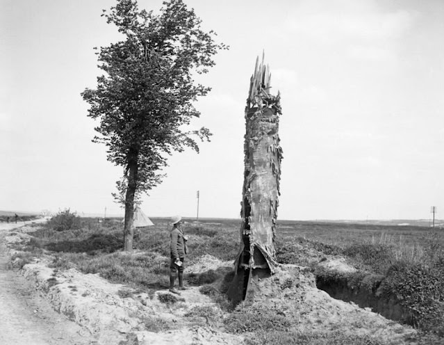 Camouflage Trees: The Silent Observers of World War I