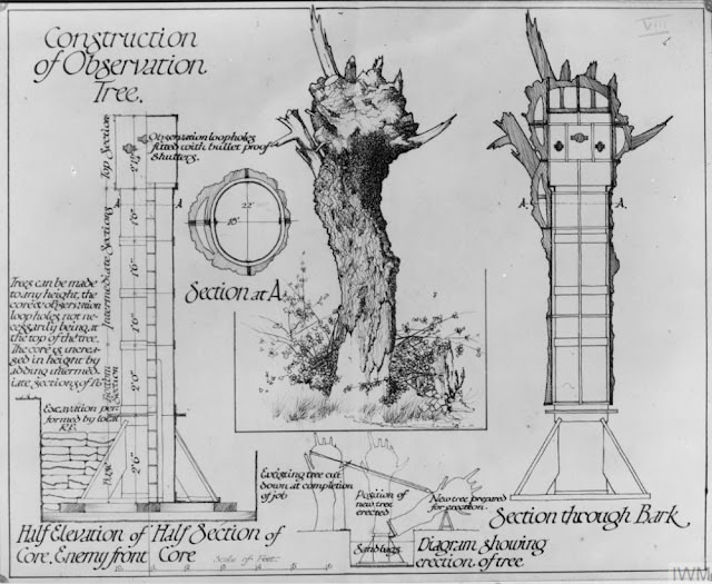 Camouflage Trees: The Silent Observers of World War I