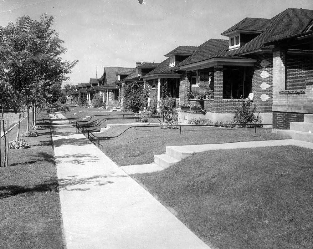 Residential Pennsylvania Street in Denver Showcasing Brick Houses and Young Trees, 1900