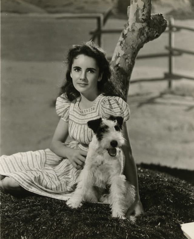 Elizabeth Taylor: The Mesmerizing Gaze Through Clarence Sinclair Bull's Lens, 1940s