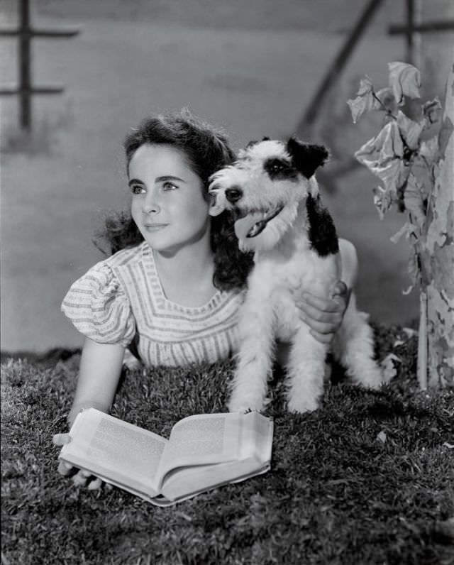 Elizabeth Taylor: The Mesmerizing Gaze Through Clarence Sinclair Bull's Lens, 1940s