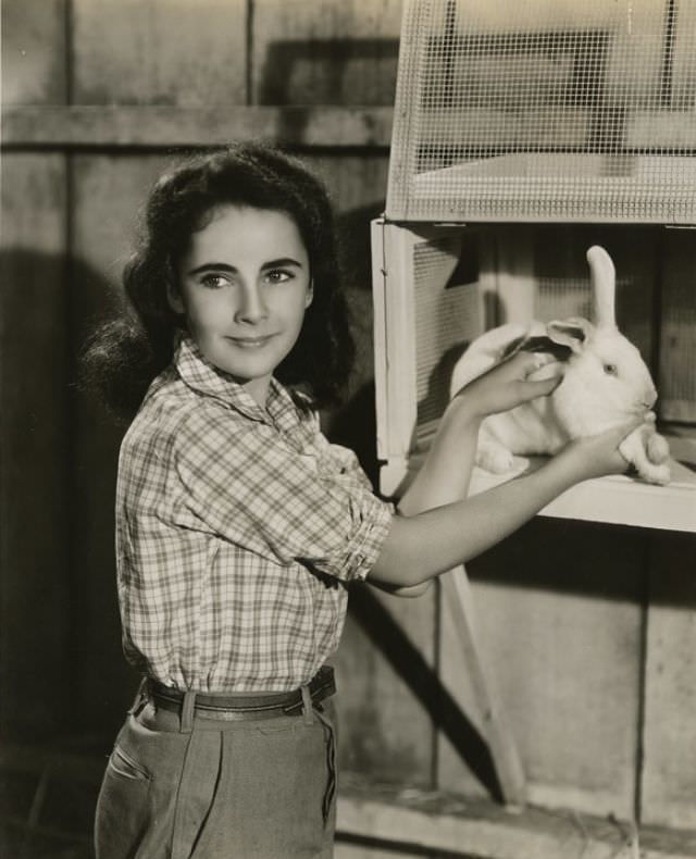 Elizabeth Taylor: The Mesmerizing Gaze Through Clarence Sinclair Bull's Lens, 1940s