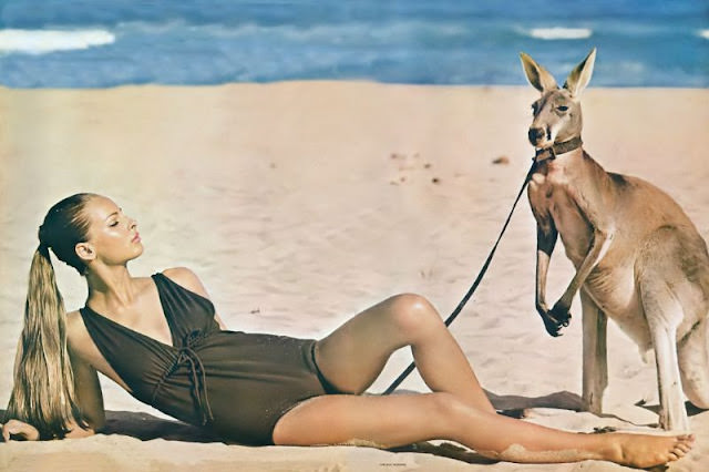Camilla Sparv in a brown Empire-waist maillot on Wanda Beach, Australia, May 1964