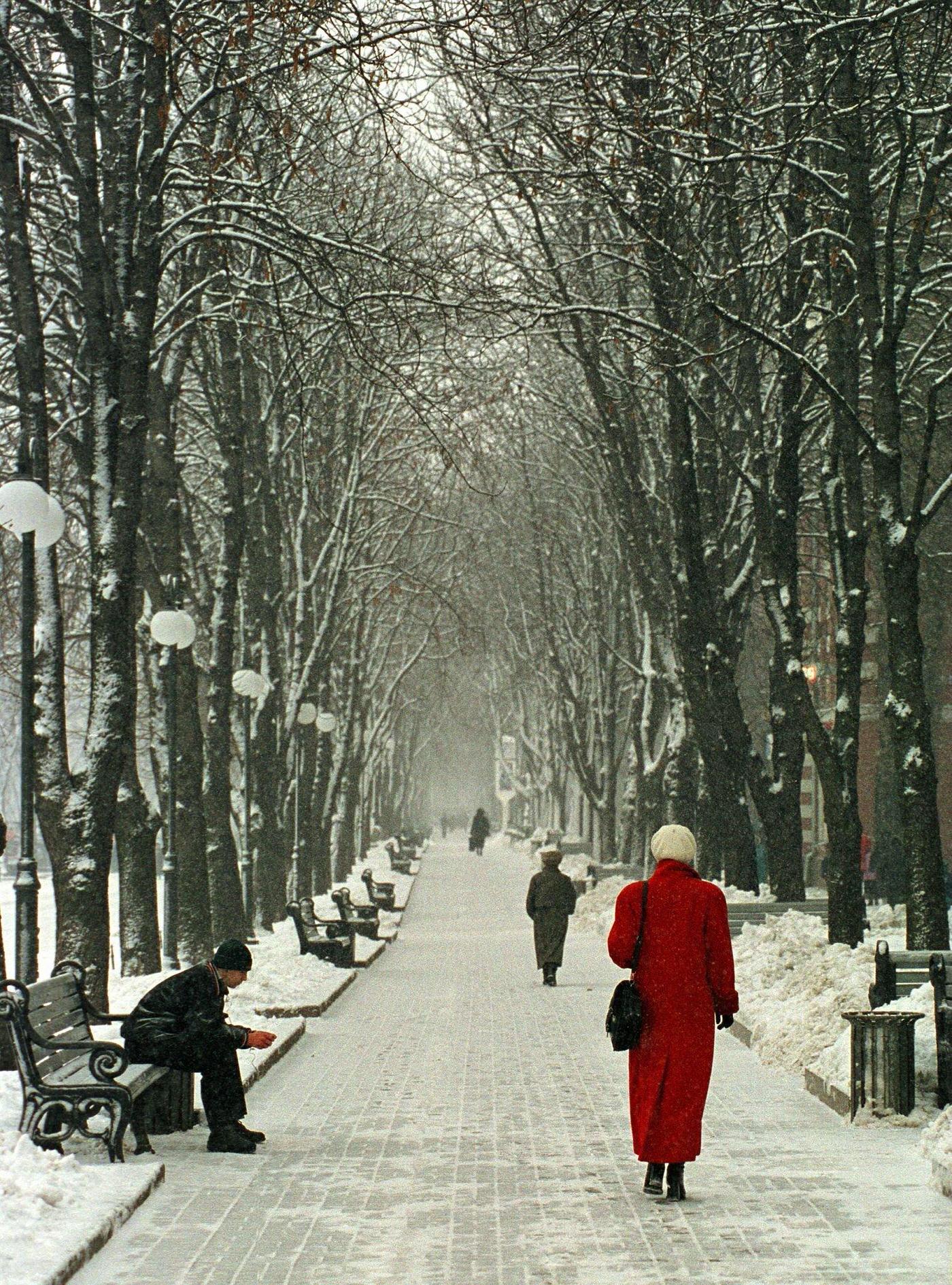 People and Scenery in Snow-Covered Park in Kiev