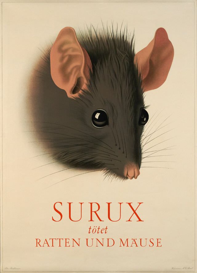 Surux tötet Ratten und Mäuse, circa 1945