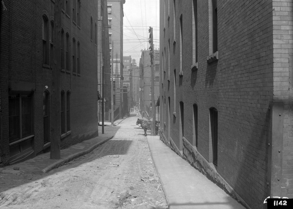 Strawberry Way, west from O'Neil Alley, 1912