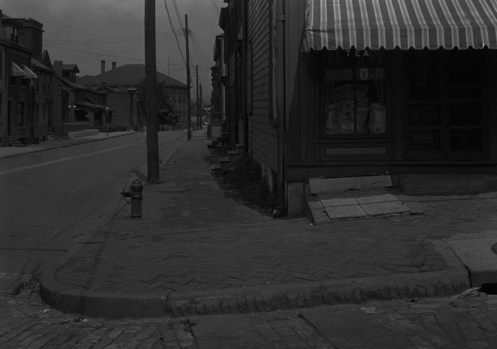 View of 52nd Street, shows F. H. Bauer Grocery, 1931