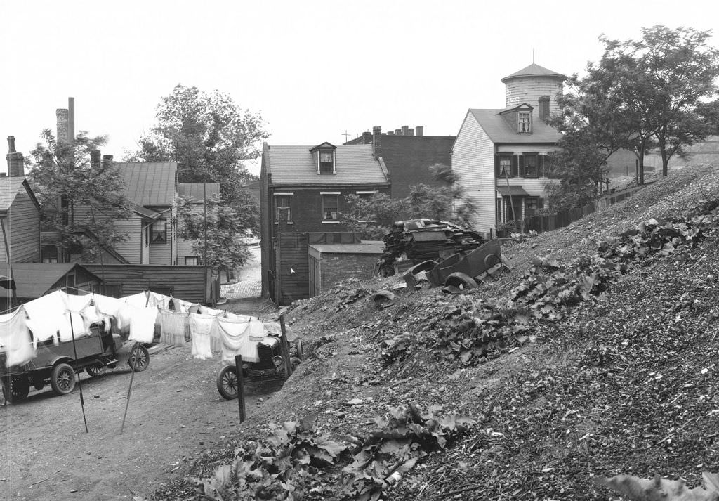 Mount Washington, Hillside view near proposed extension looking east, 1931.