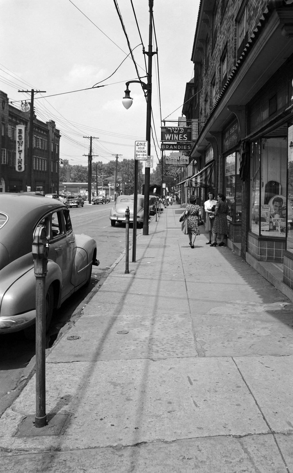 South Side Neighborhood Bird's Eye View, 1949