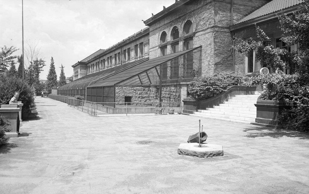 A view of the cat cages attached to the main zoo building, 1940