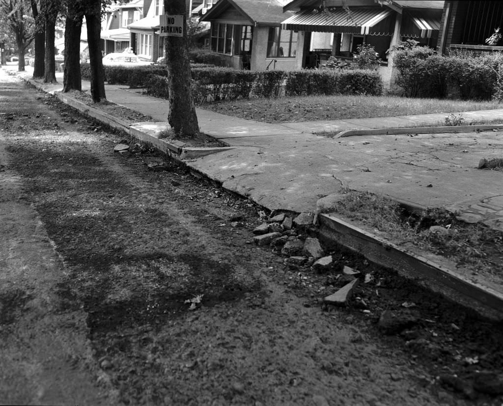 Crumbling driveway on Waldron Street toward Tilbury Avenue, 1956