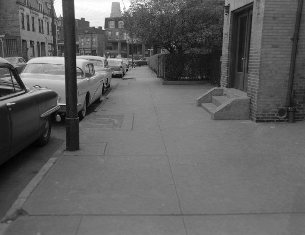 Cars parked on Ward Street with Cathedral of Learning in view, 1956