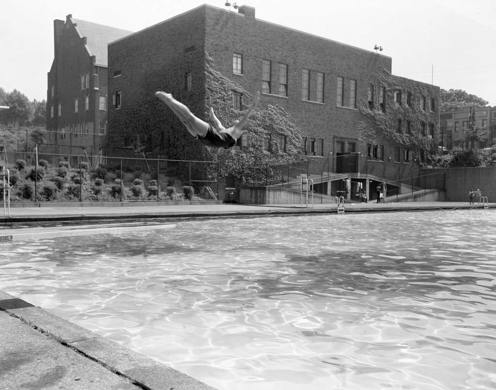 Diver at Ammon Park Swimming Pool, 1958