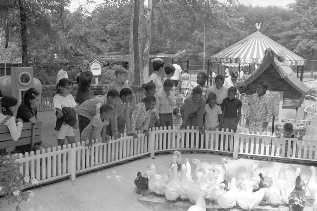 Children at Pittsburgh Zoo: the zoo's evolution from menagerie to conservation resource, 1969.