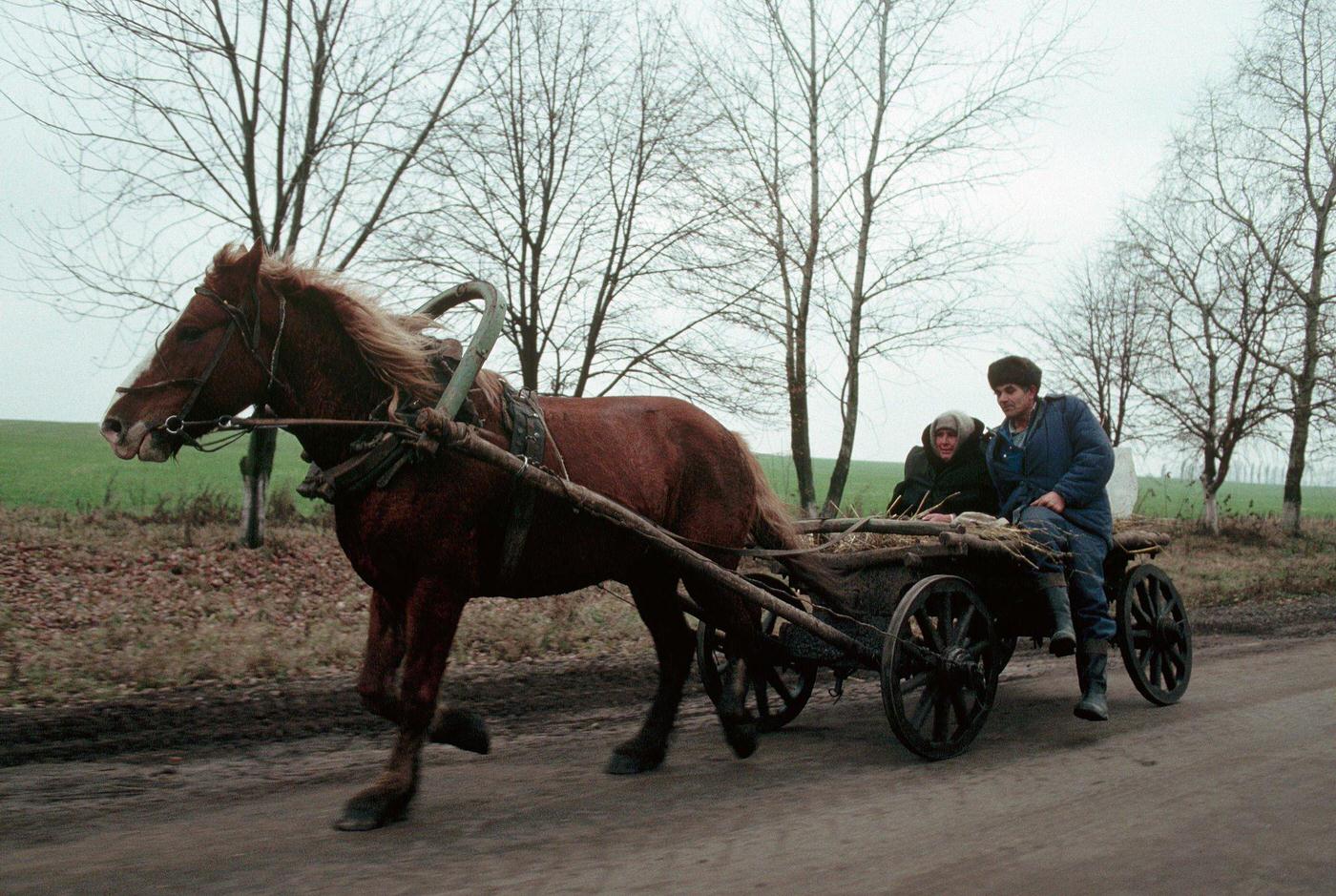 Farm Couple Riding on a Wagon