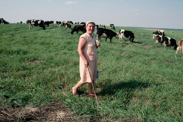 Farm worker on a collective farm in Lviv, Ukraine, 1991
