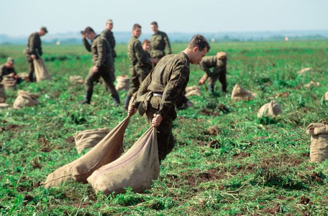 Potato harvest, Ukraine, 1991