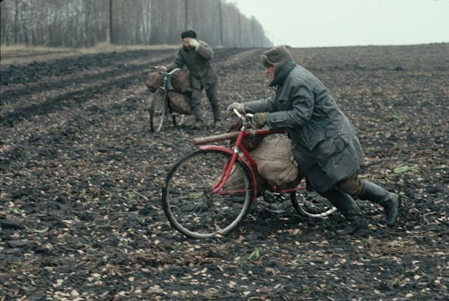 Thieves stealing potatoes, Ukraine, 1991