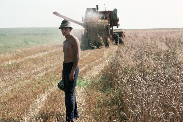 Wheat harvest on collective farm, Lviv, Ukraine, 1991