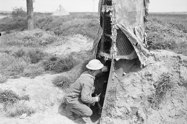 Camouflage Trees World War I