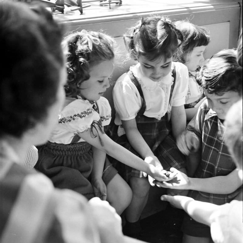 As their instruction begins in 1948, students at the Lucy D. Anthony school examine a small turtle