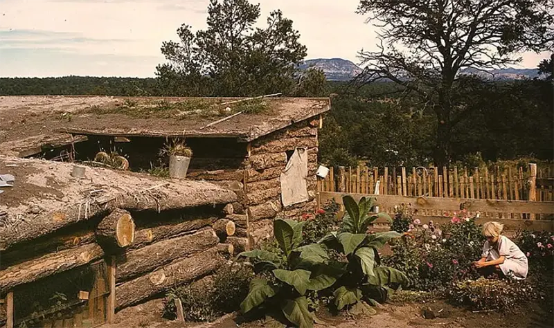 Homesteader's garden in Pie Town, NM, 1940.