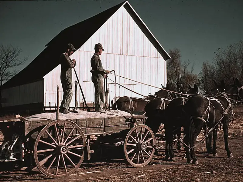 Fertilizer wagon on an arid farm, circa 1940.