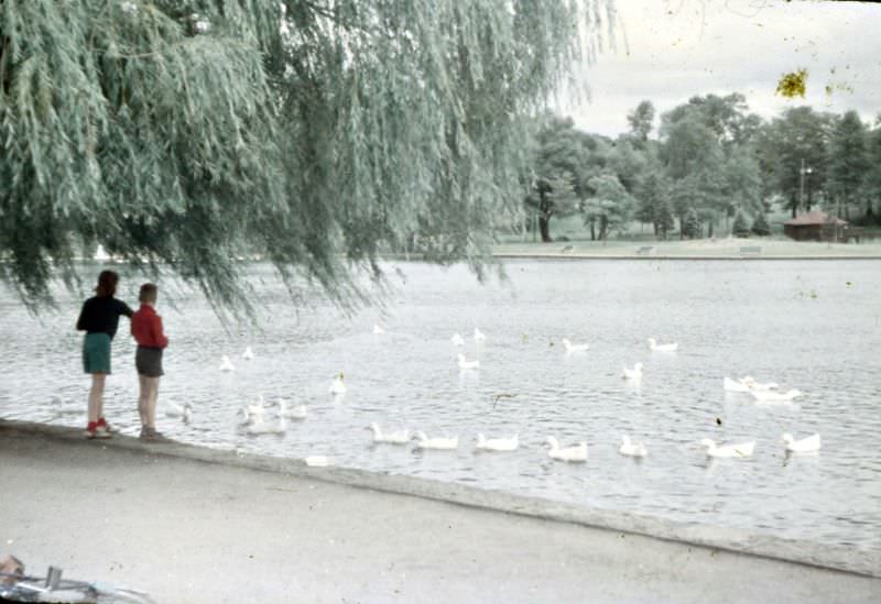 Mount Royal Park.