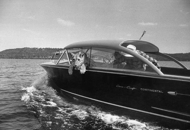 Blondie enjoys her first motorboat ride on Possum Kingdom Lake, Texas, 1955.