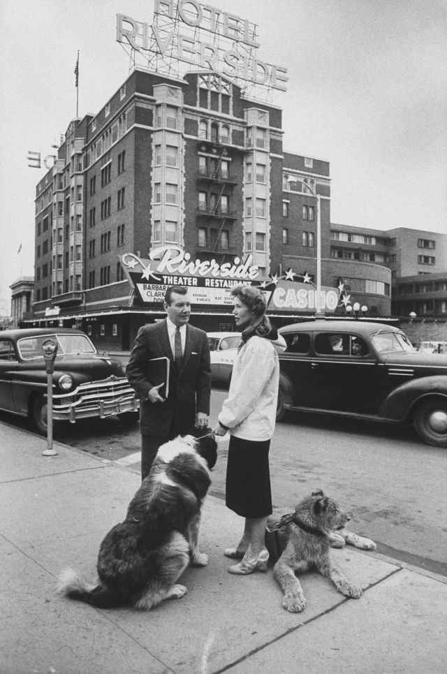 Guy Michael and wife stroll with their pet lion and dog, 1959.