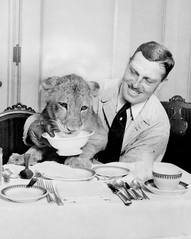 Lieut. Col. Roscoe Turner feeds his lion cub mascot at The Sherman Hotel, Chicago, 1930.