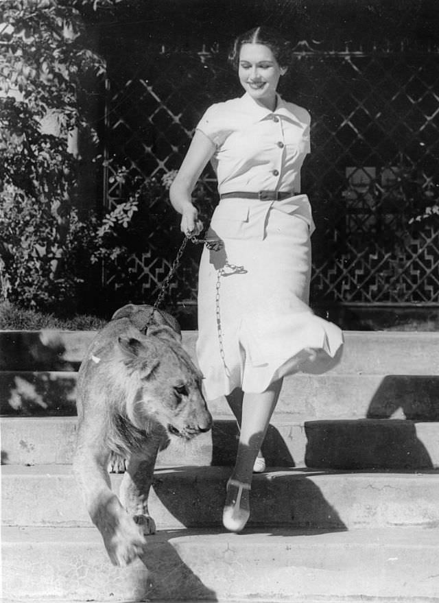 Actress Gloria Youngblood poses with her lion, 1937.