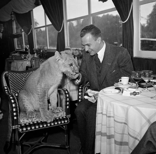 Pierre Clostermann pets Bai, a lioness from Sudan, in Bougival, France, 1950.