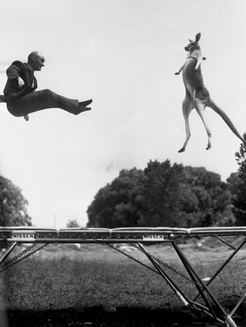 Kangaroo Victoria and George Nissen Jumping on a Trampoline, 1960